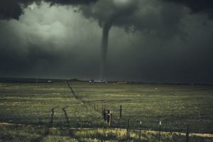 AdobeStock by Nikolas Nunan