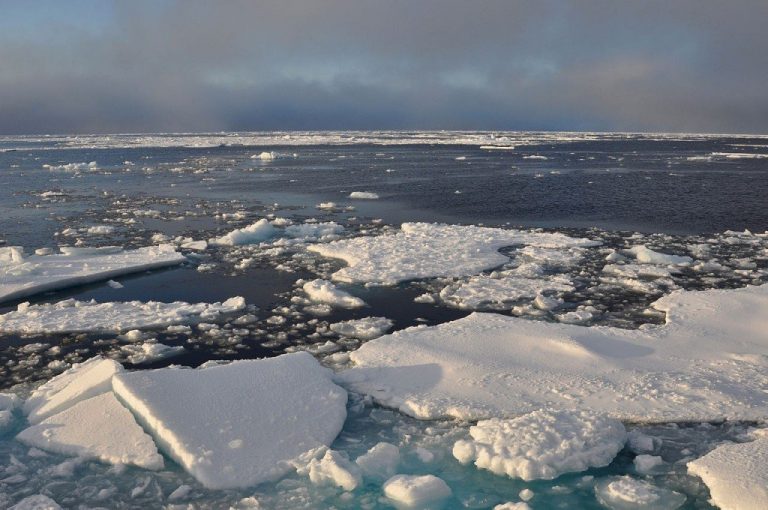 Global Trade In Mammoth Ivory Is Exploding Thanks To Melting Arctic Ice