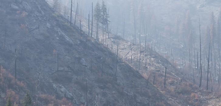 Volunteers Join The Battle Against Raging Washington State Forest Fires