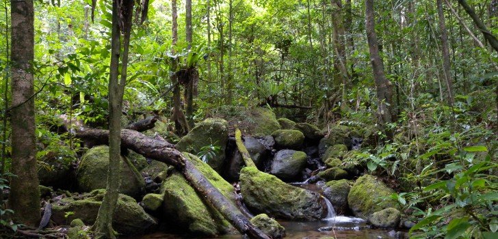 This New National Park Might Be Just The Thing To Help Combat Climate Change