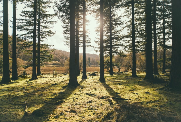 natural england budget increase 