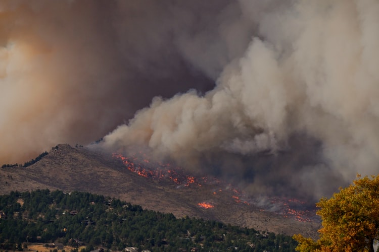 california forest fire season