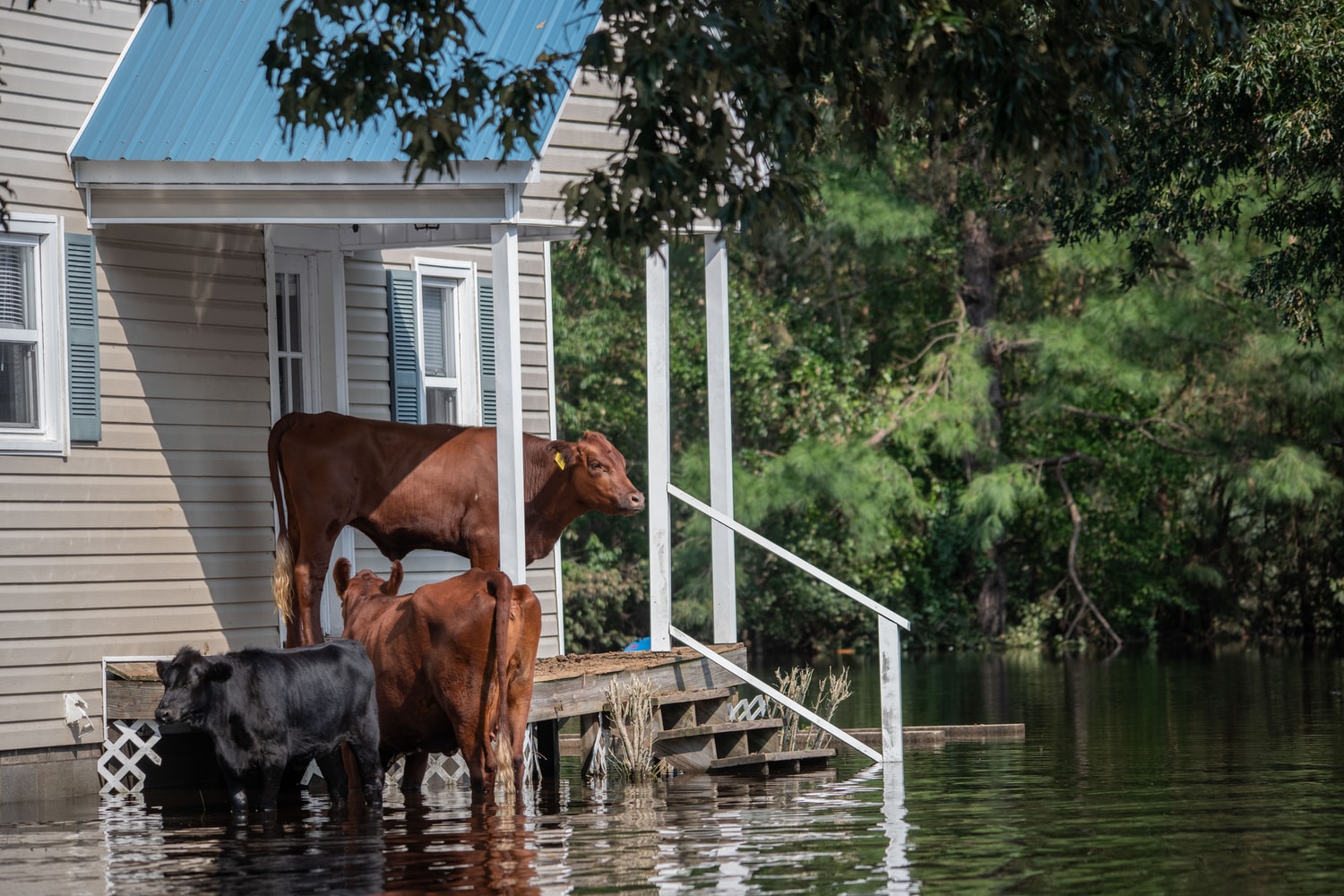 flooding in tennessee