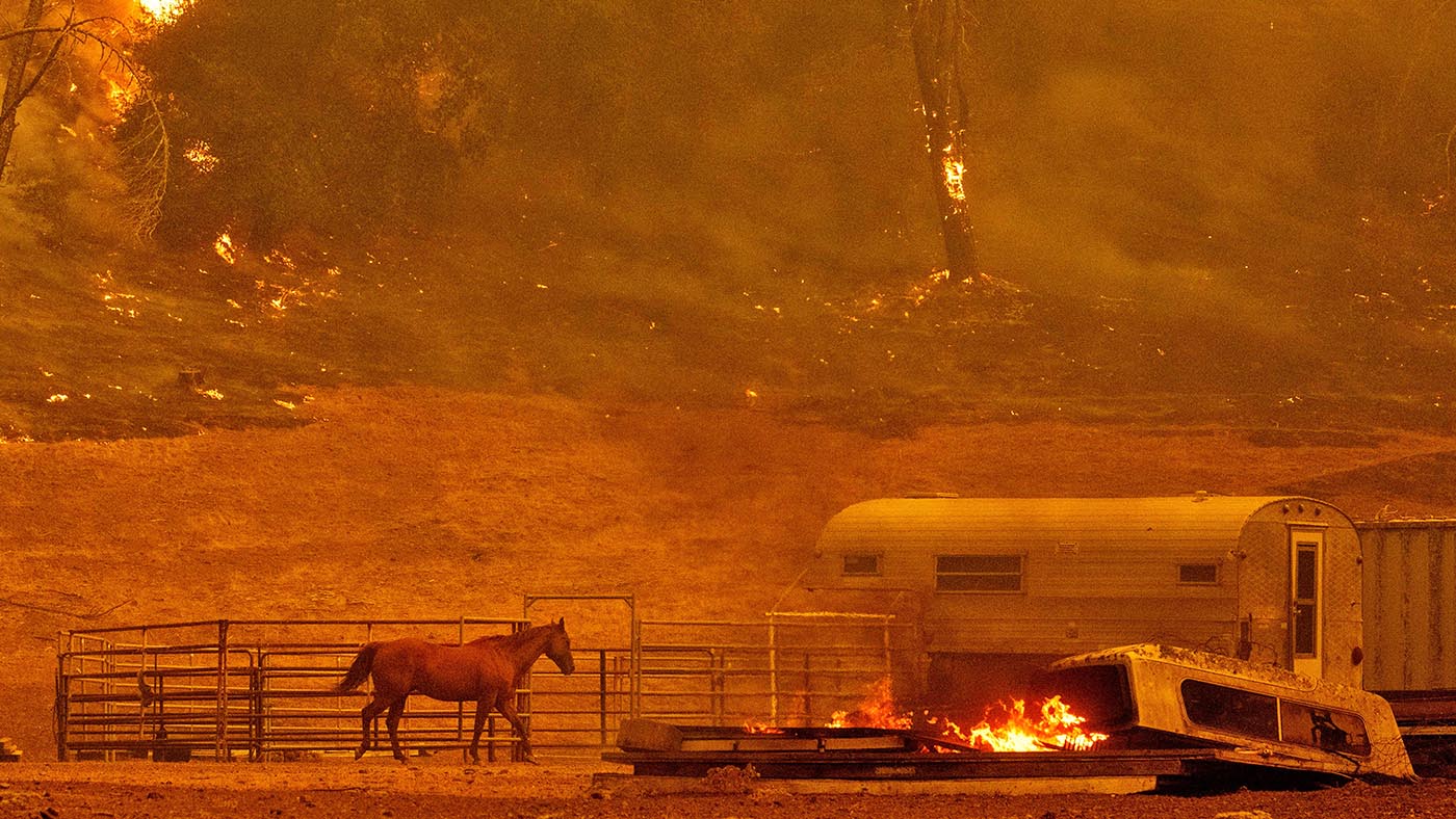 wildfire preparation and evacuation tips for horse owners