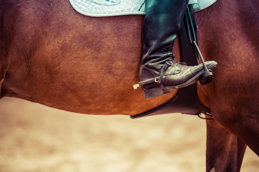 how to become an equestrian