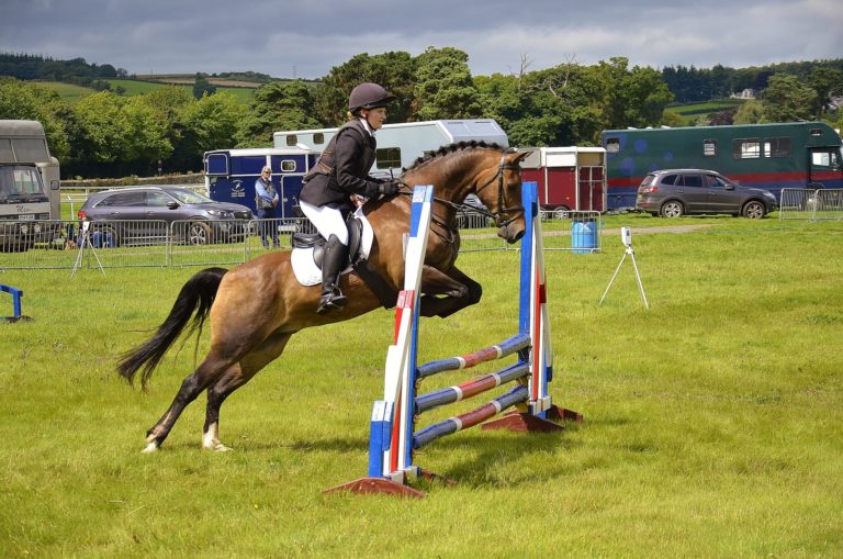 equestrian air vests